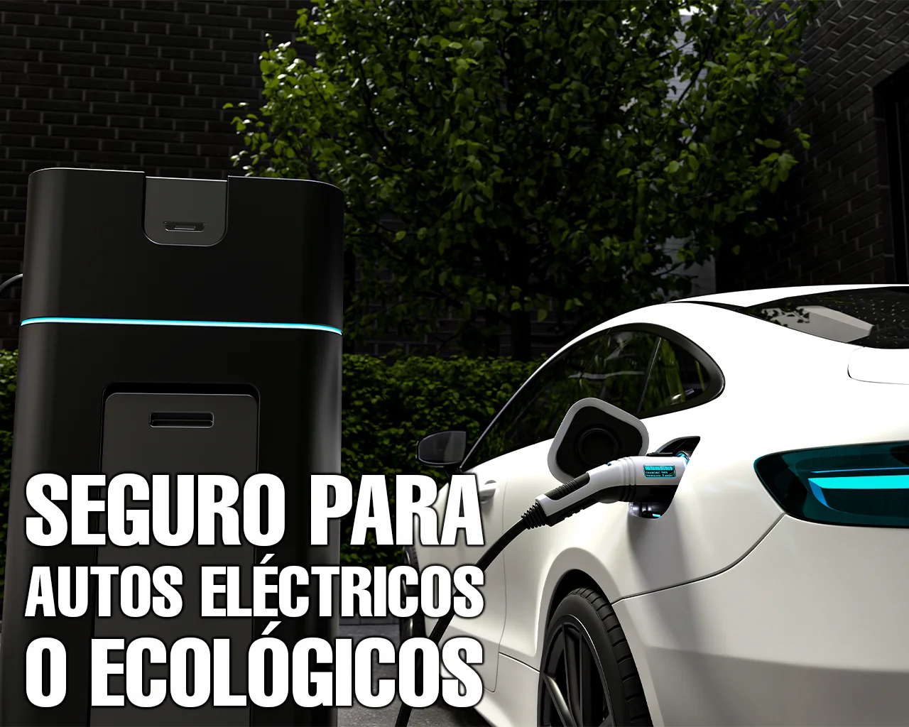 Comprar seguro para autos electricos