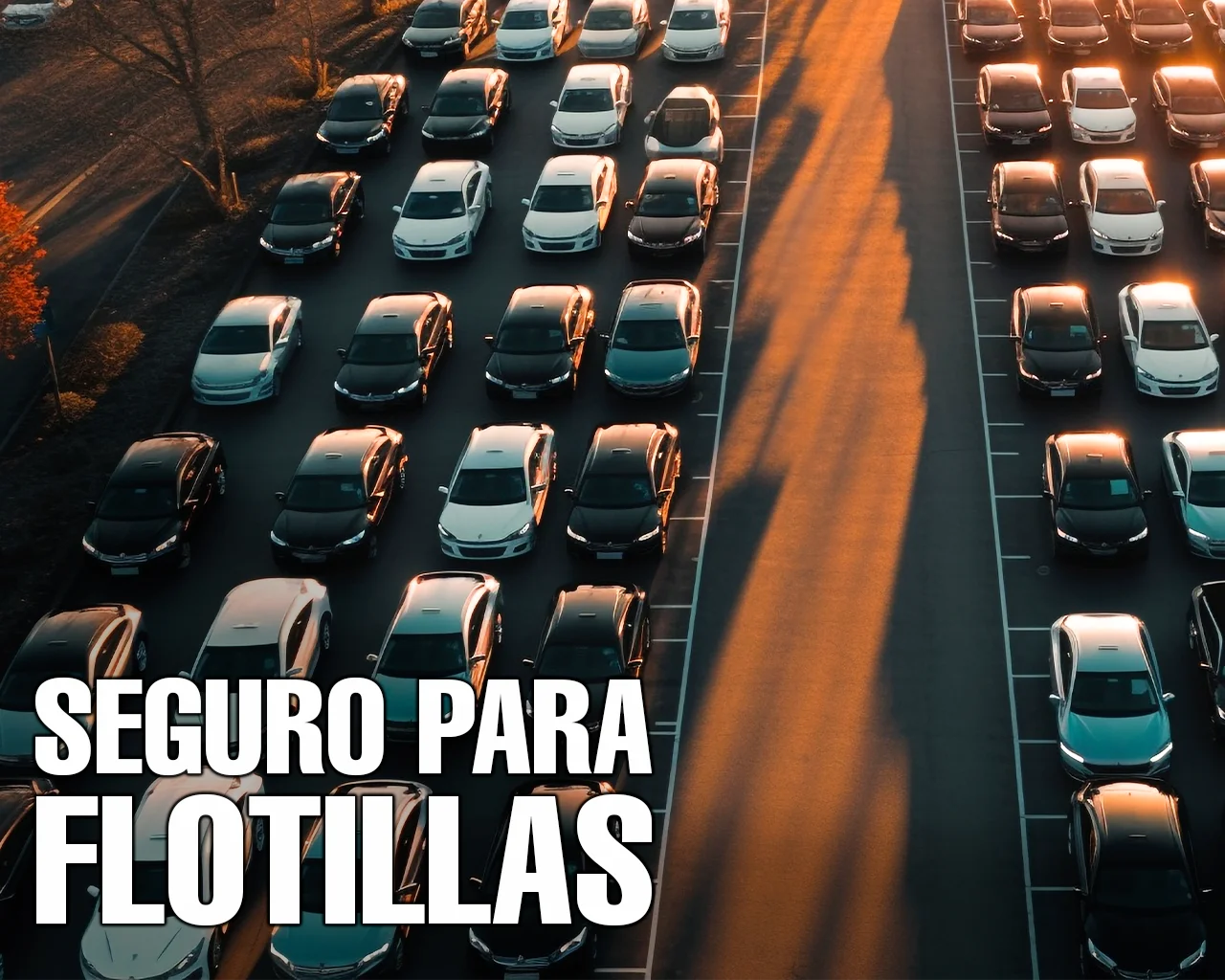 Compra tu seguro para flotillas empresariales