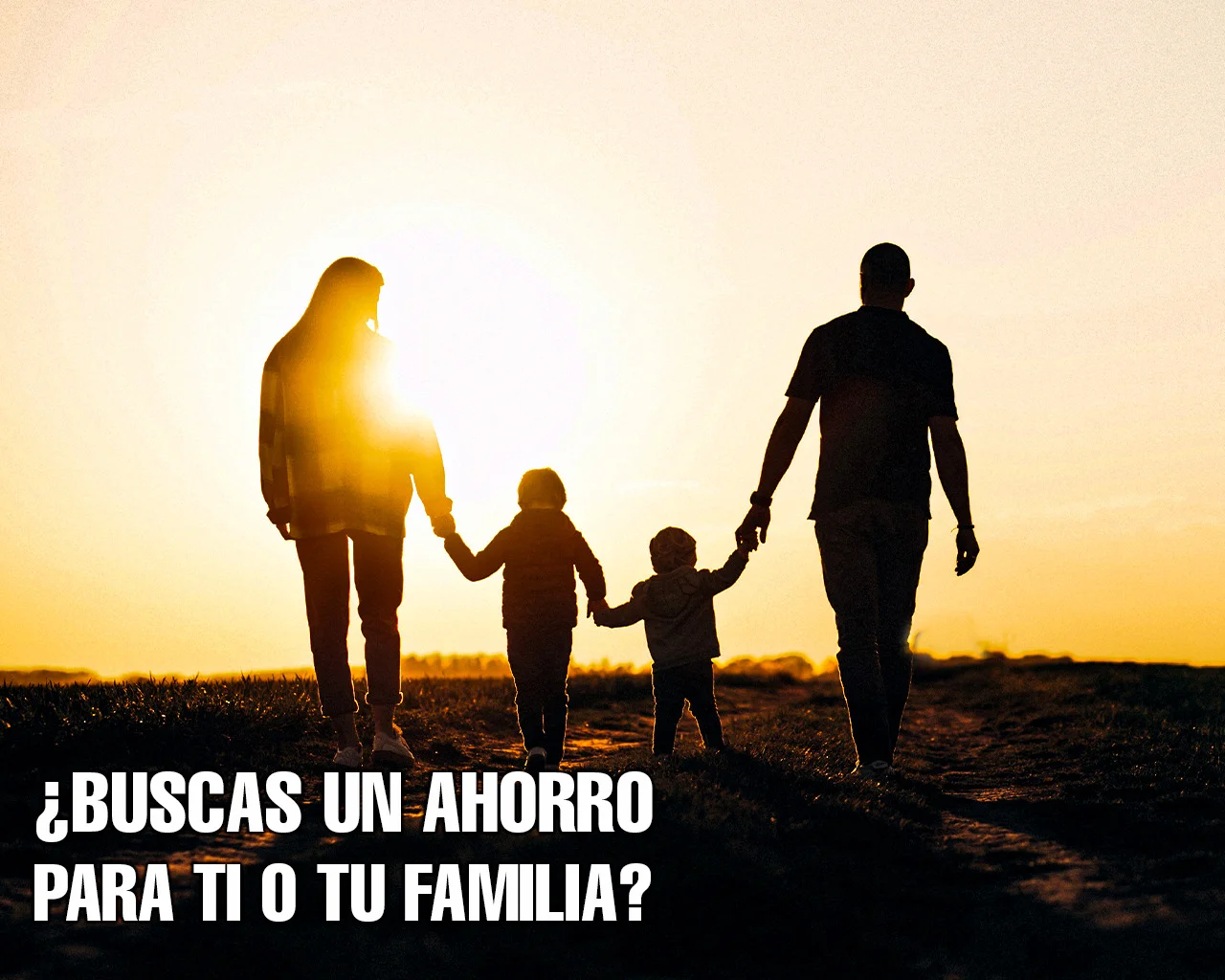 Ahorra en grande con tu seguro de ahorro